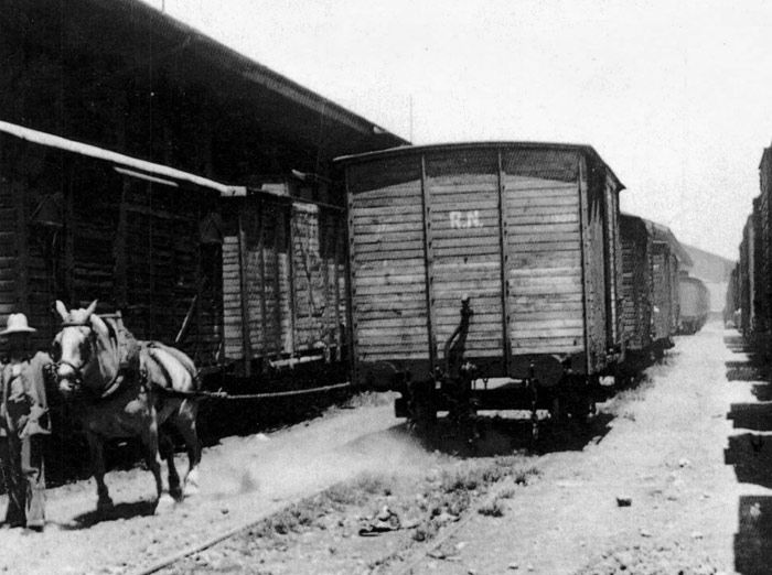 Las mulas eran empleadas en el removido de vagones para situarlos o retirarlos de los muelles de descarga. Imagen de la playa de pequea velocidad de Madrid Atocha.