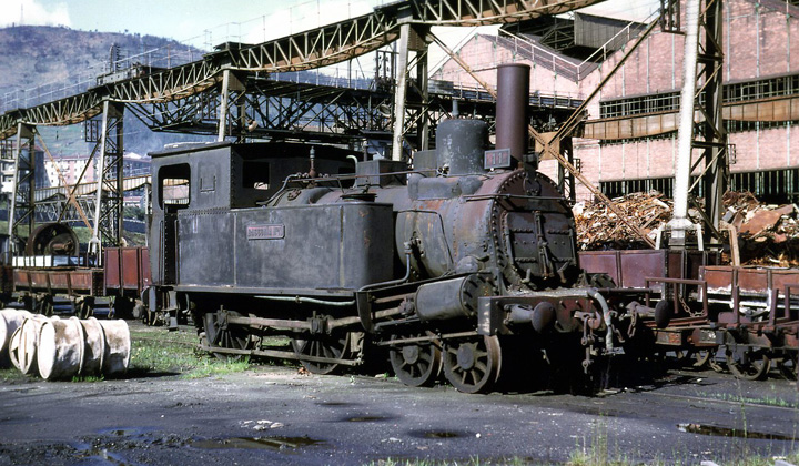 Una de las primitivas locomotoras de vapor del ferrocarril de Tudela a Bilbao, la Izarra, construida en 1863, se conserva en la actualidad como monumento, en la estacin de Abando. Durante muchos aos trabaj como locomotora de maniobras en la fbrica de La Basconia, donde fue captada, por el britnico Jeremy Wiseman, en 1968