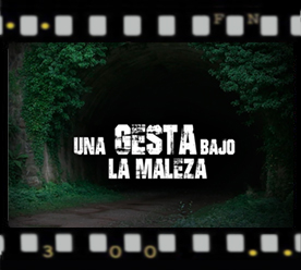 Una gesta bajo la maleza, un documental sobre el Tnel de La Engaa
