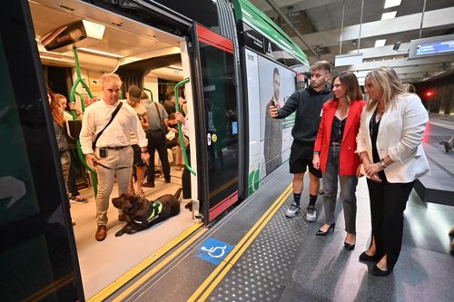 Las mascotas ya pueden viajar en el Metro de Granada