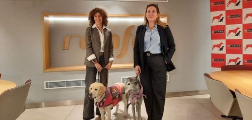 Renfe ampla lneas y destinos para viajar con perros de hasta cuarenta kilos