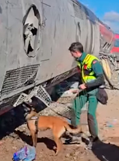 El n�mero de fallecidos en el accidente de Adamuz asciende a 42