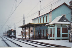 Exposicin El ferrocarril. Navalperal, una estacin del Guadarrama 