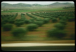 Proyecto de investigacin de la Uned para la integracin de las infraestructuras ferroviarias en el paisaje andaluz 