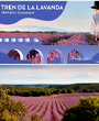 El Tren de la Lavanda viaja a los campos en flor de Brihuega