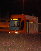 Los servicios nocturnos del tranv�a de Alicante registraron 137.633 desplazamientos este verano