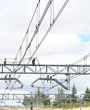 Adif energiza la catenaria de la l�nea convencional Madrid-Zaragoza