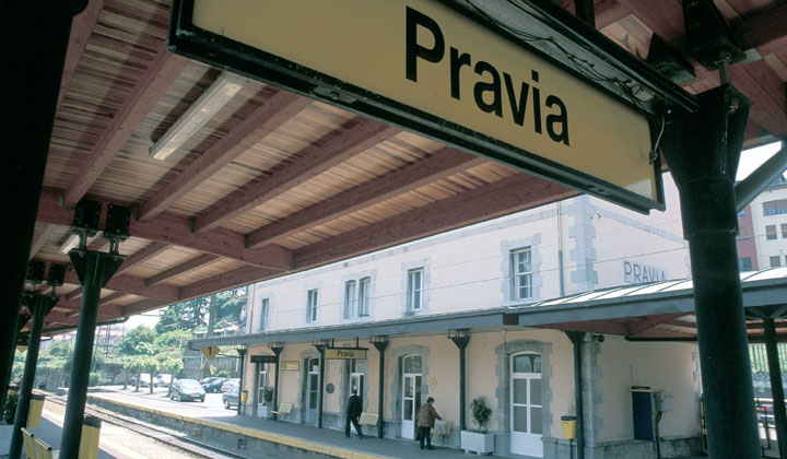 Pravia